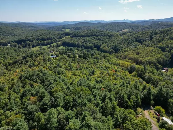 Deep Gap, NC 28618,00 Orchard RD