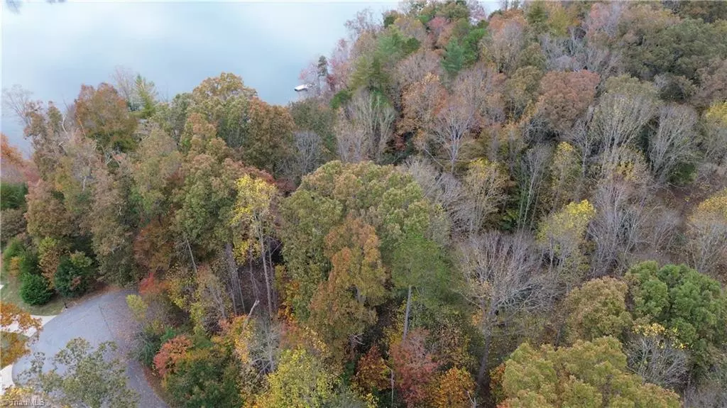 Wilkesboro, NC 28697,Lot 10 Lakepoint DR #Lakeshore