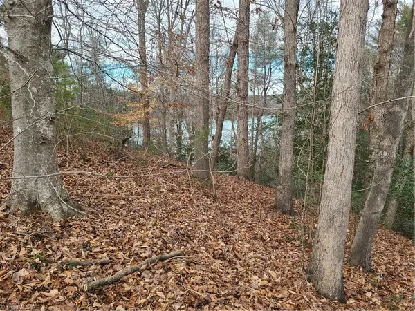 Wilkesboro, NC 28697,Lot 10 Lakepoint DR #Lakeshore