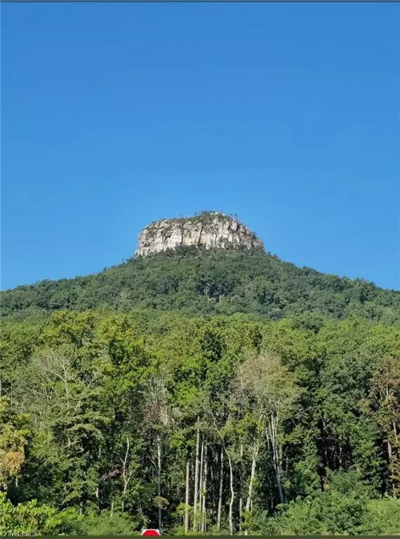 Pilot Mountain, NC 27041,685 Golf Course RD