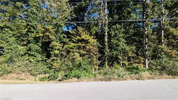 Ramseur, NC 27316,Lot 9 Curtis ST