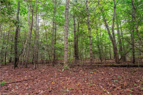 Mount Airy, NC 27030,TBD Wyncrest TER