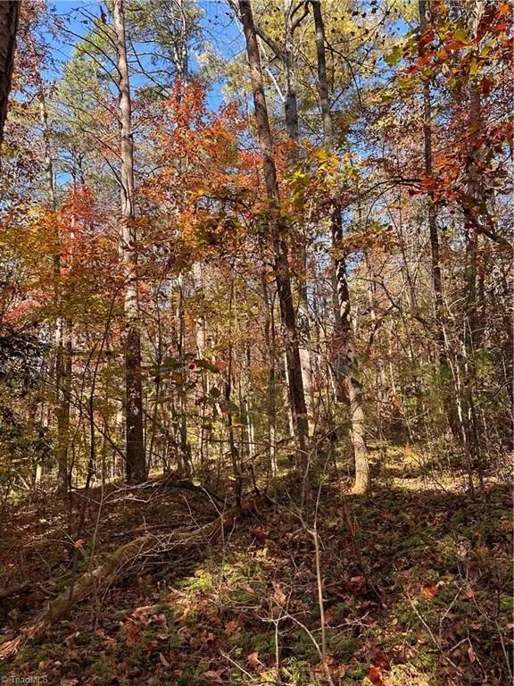 Pilot Mountain, NC 27041,18.7 Ac Old Westfield RD