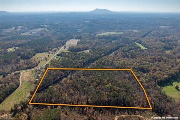 18.7 Ac Old Westfield RD, Pilot Mountain, NC 27041