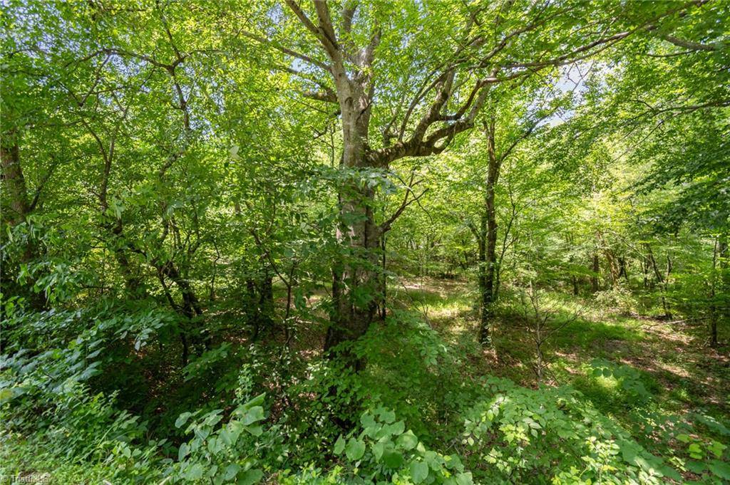 Pfafftown, NC 27040,5536 Waller RD