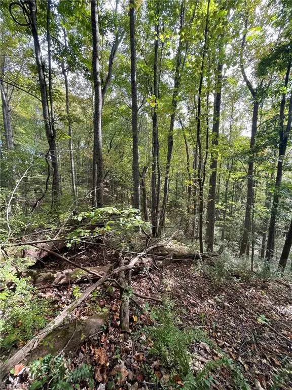 Piney Creek, NC 28663,TBD Happy Land RD