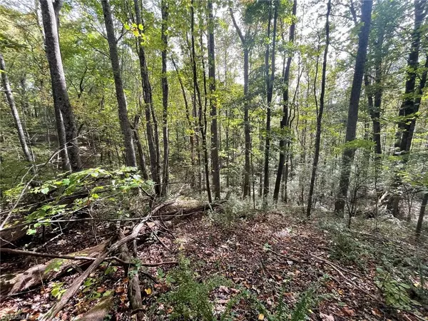 Piney Creek, NC 28663,TBD Happy Land RD