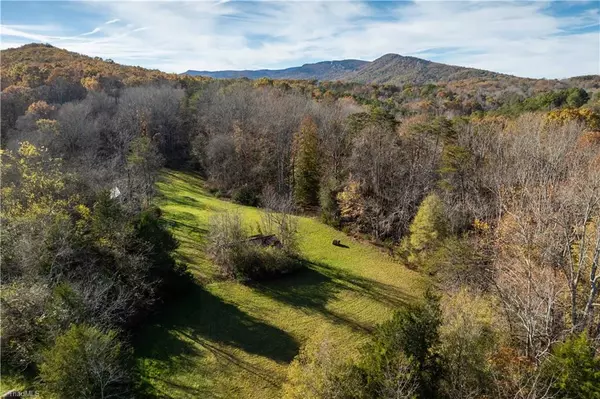 49.68 Acres NC Highway 8 And 89 S, Walnut Cove, NC 27052