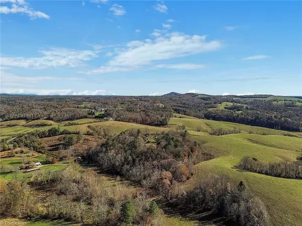 Traphill, NC 28685,000 Austin Traphill RD