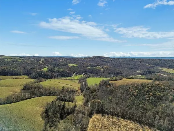 Traphill, NC 28685,000 Austin Traphill RD