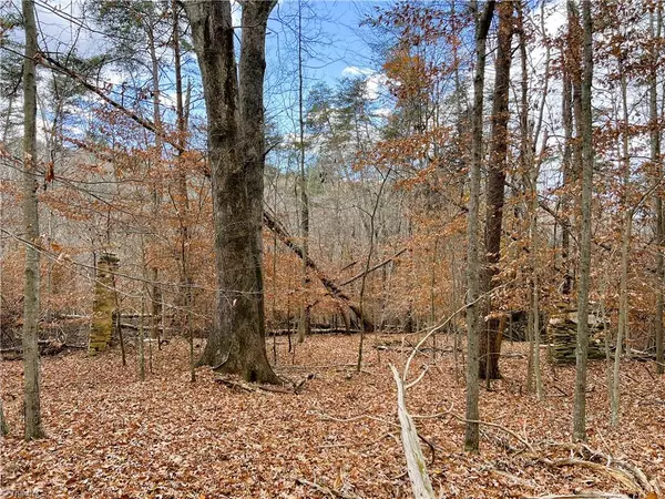 Stoneville, NC 27048,22.44 AC Paw Paw RD