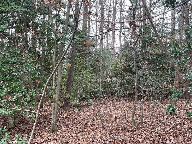 Lot 21 Pulco LN, Ronda, NC 28670