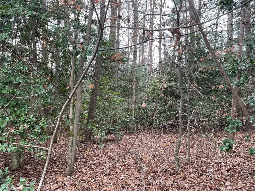 Ronda, NC 28670,Lot 21 Pulco LN