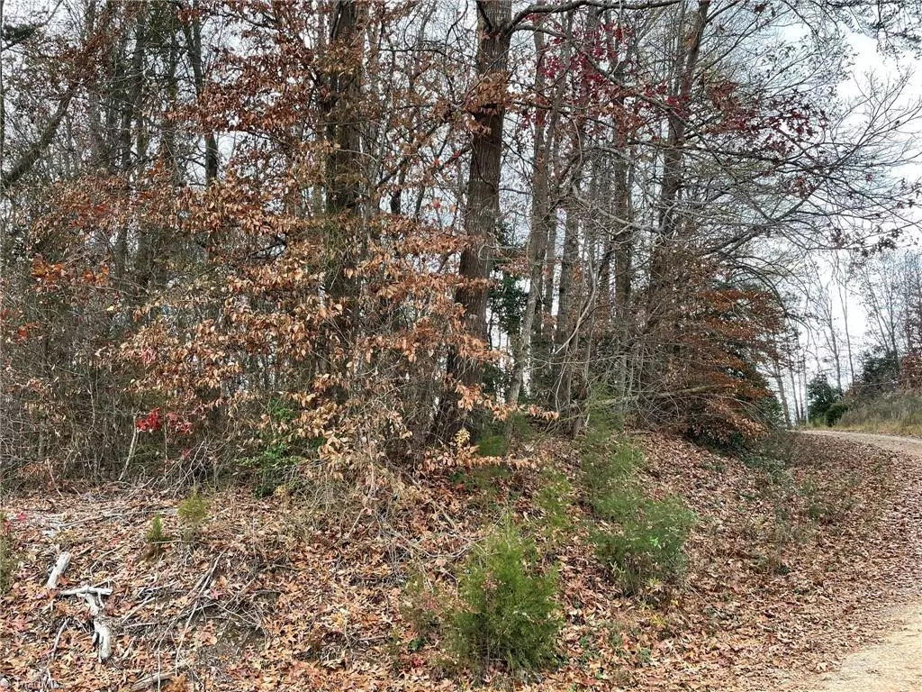 Ronda, NC 28670,Lot 18 & 19 Pulco LN