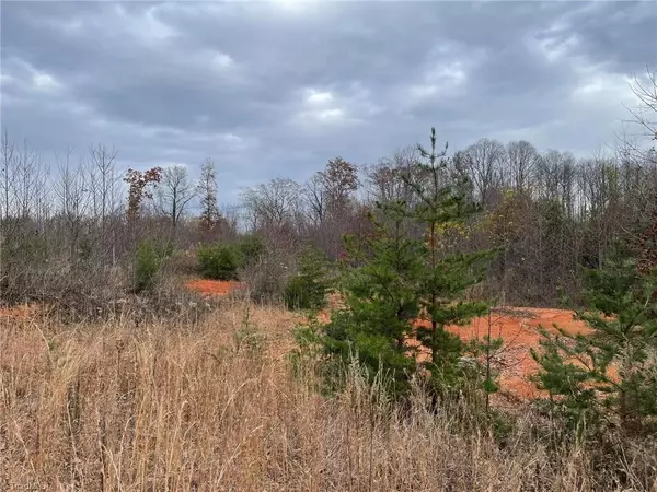 Ronda, NC 28670,Lot 12 Pulco LN