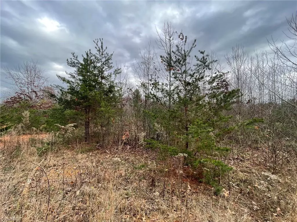 Ronda, NC 28670,Lot 12 Pulco LN