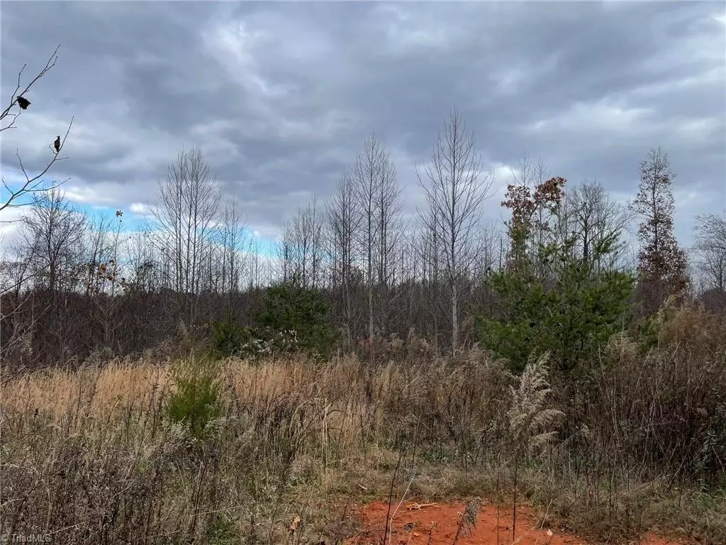 Ronda, NC 28670,Lot 13 Pulco LN