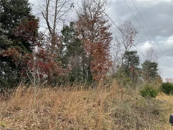 Ronda, NC 28670,Lot 14 Pulco LN