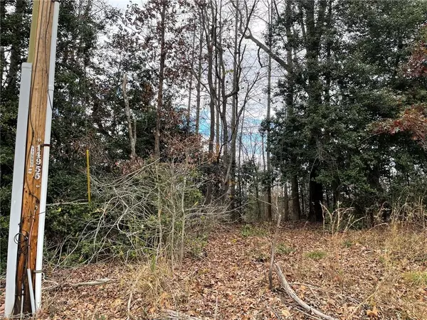 Ronda, NC 28670,Lot 14 Pulco LN