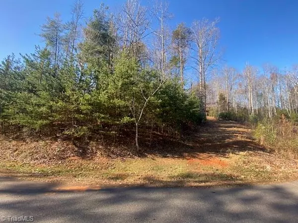 Purlear, NC 28665,Lot #3 Bayberry LN