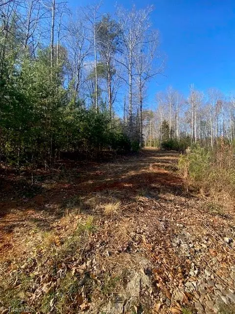 Purlear, NC 28665,Lot #3 Bayberry LN