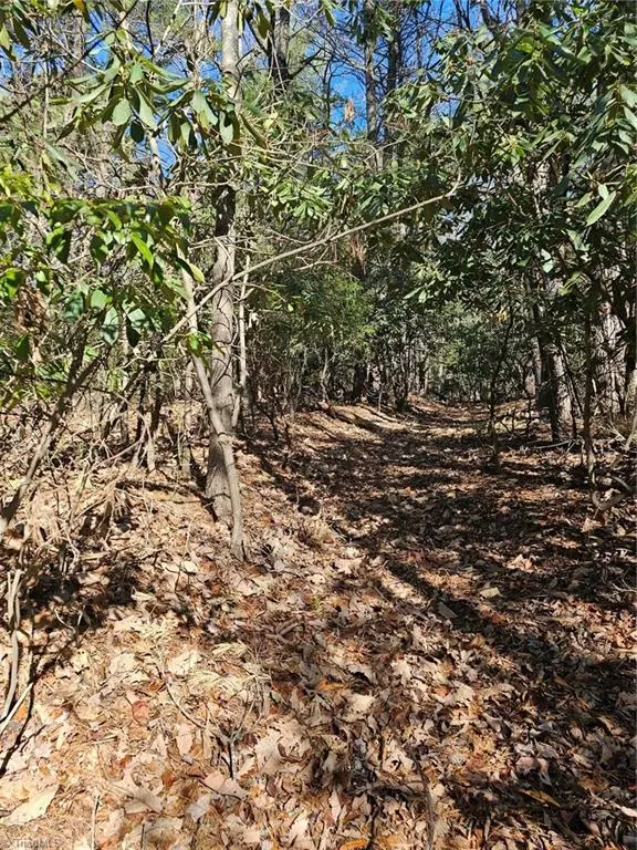 Millers Creek, NC 28651,Lot 10 Carolina RD