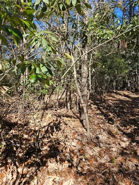 Millers Creek, NC 28651,Lot 10 Carolina RD