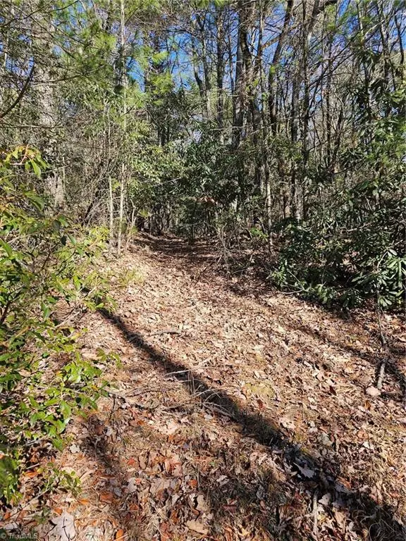 Millers Creek, NC 28651,Lot 10 Carolina RD