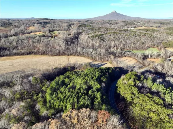 Pinnacle, NC 27043,Lot 1- 0 Bowen RD