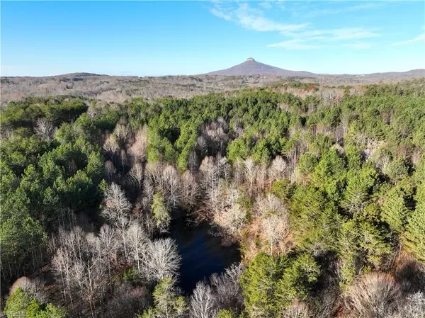 Pinnacle, NC 27043,Lot 1- 0 Bowen RD