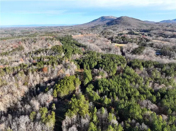 Pinnacle, NC 27043,Lot 1- 0 Bowen RD