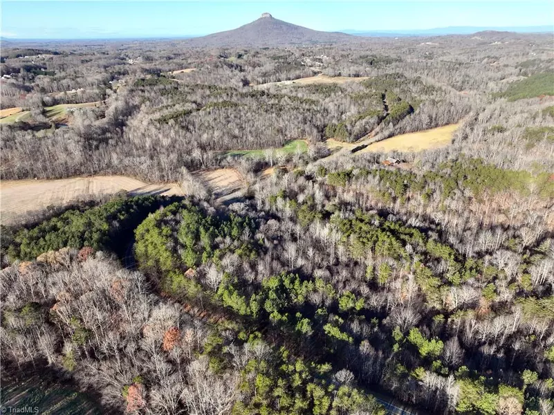 Lot 4- 0 Bowen RD, Pinnacle, NC 27043