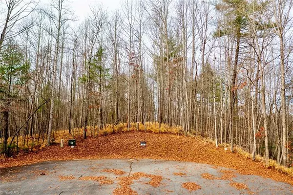 Wilkesboro, NC 28697,Lot #16 Stonehinge DR