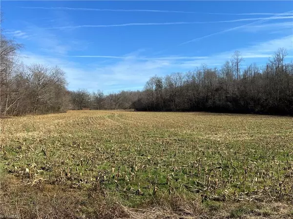 Pfafftown, NC 27040,0 River Ridge RD