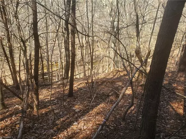 Franklinville, NC 27248,1969 Mulberry Academy ST