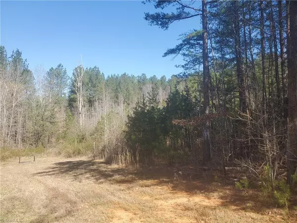 1969 Mulberry Academy ST, Franklinville, NC 27248