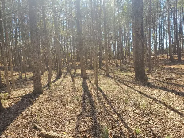 Franklinville, NC 27248,1969 Mulberry Academy ST