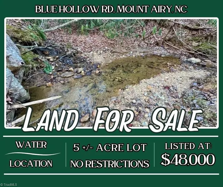 00 Blue Hollow RD, Mount Airy, NC 27030