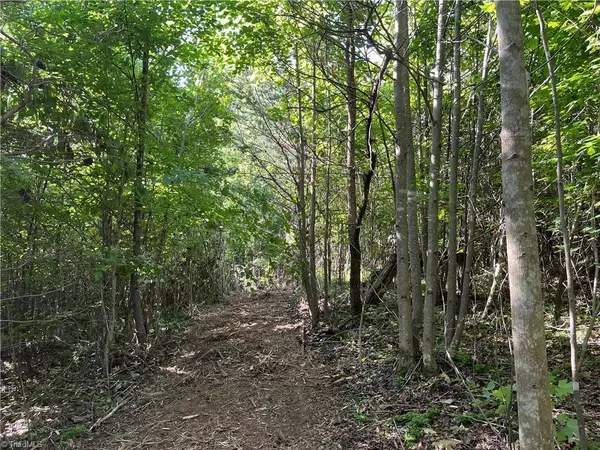 Mount Airy, NC 27030,00 Albion Church RD