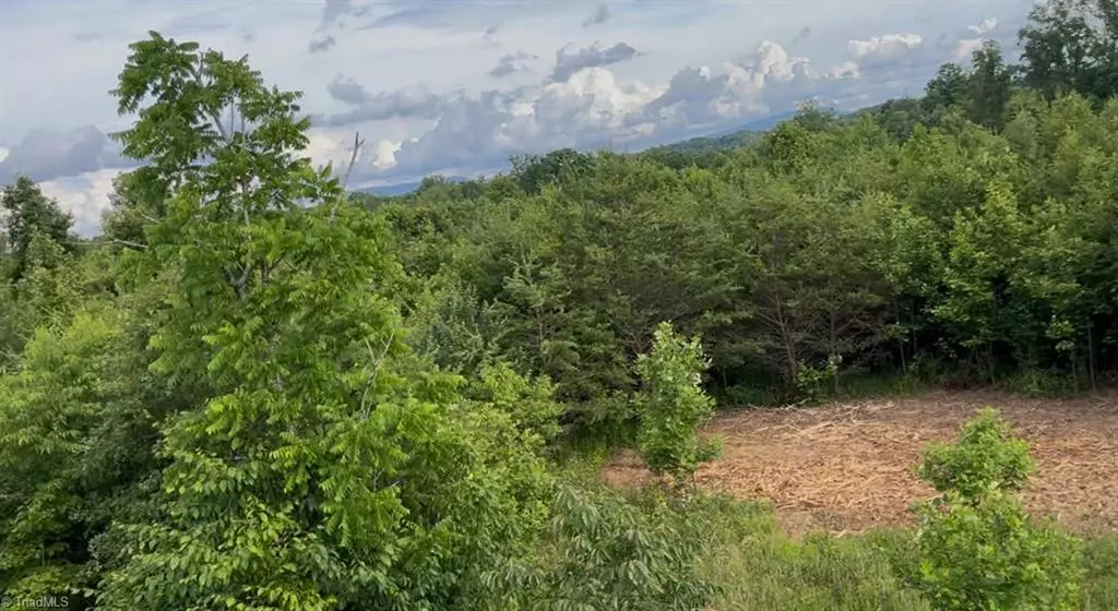 Mount Airy, NC 27030,00 Albion Church RD