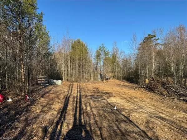 Traphill, NC 28685,Lot 45 Billings Hill Church RD