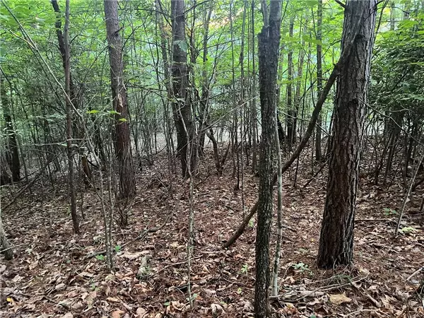 55 Ridge Run RD, Boomer, NC 28606
