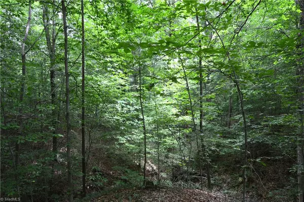 Reidsville, NC 27320,Lot #5 Rock Creek LN