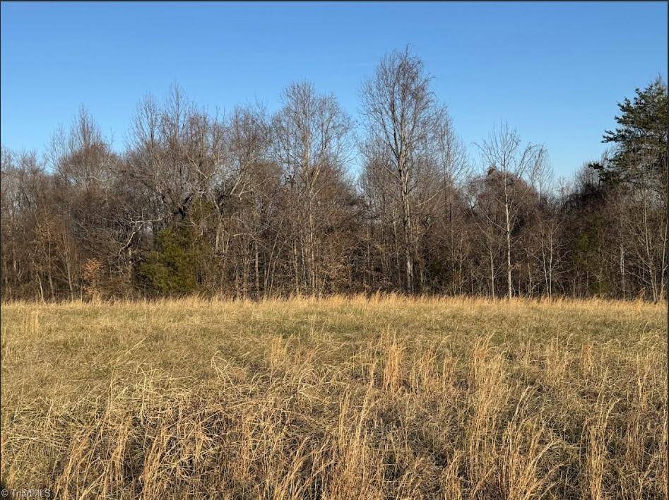 Yadkinville, NC 27055,Track 2 Garner RD