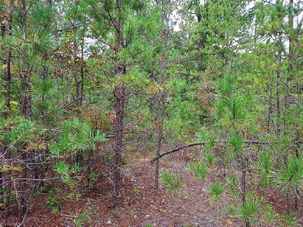 Ferguson, NC 28624,71 Elk Horn RD