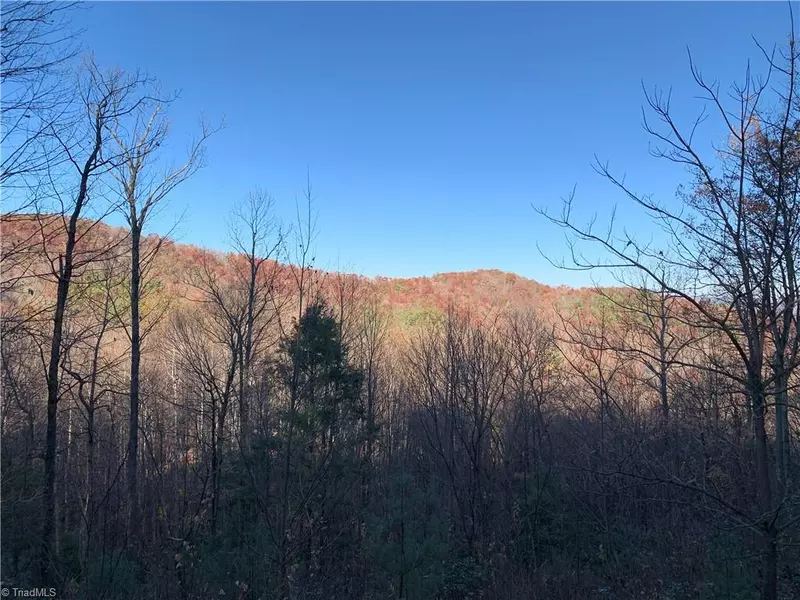 TBD (Lot 19) Wolf Den LN, Lenoir, NC 28645