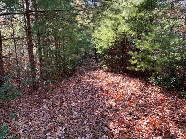 Lenoir, NC 228645,TBD (Lot 1) Dugger Firetower RD