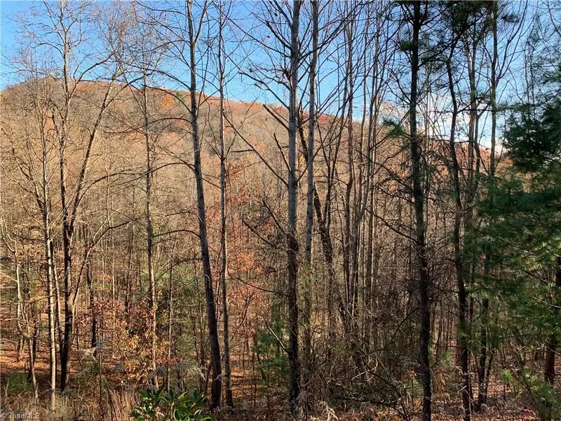 TBD (Lot 4) Wolf Den LN, Lenoir, NC 28645