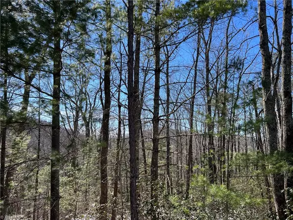 Lenoir, NC 28645,TBD (Lot 4) Wolf Den LN