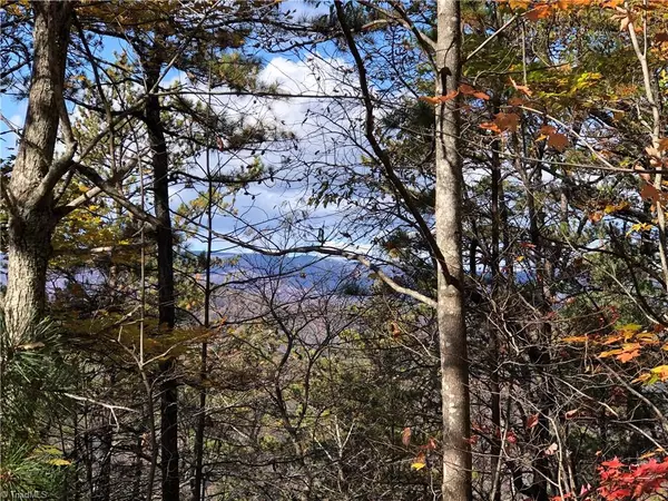 Purlear, NC 28665,Lot 96 Buck Mountain RD